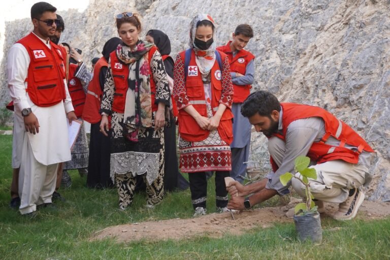 534921451_122147284484789576_6416384911346256636_n