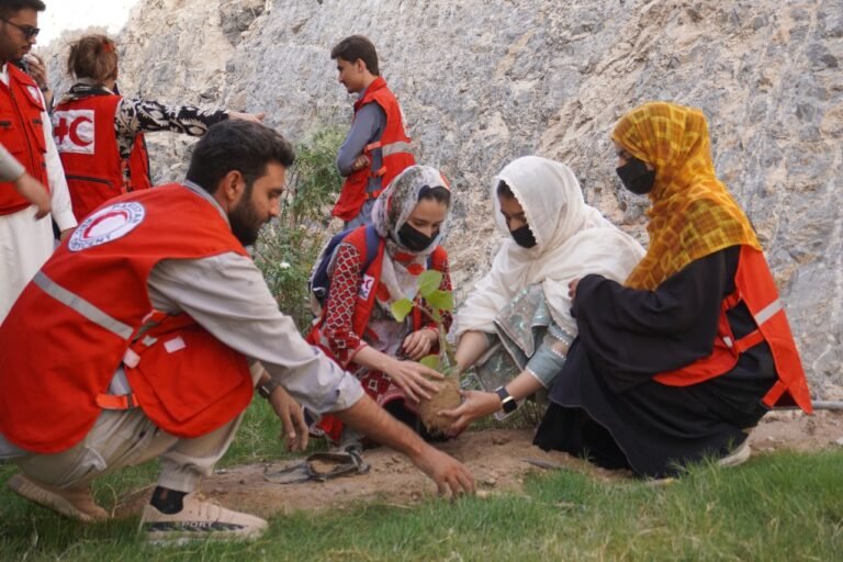 535442561_122147284478789576_6625505756240854733_n