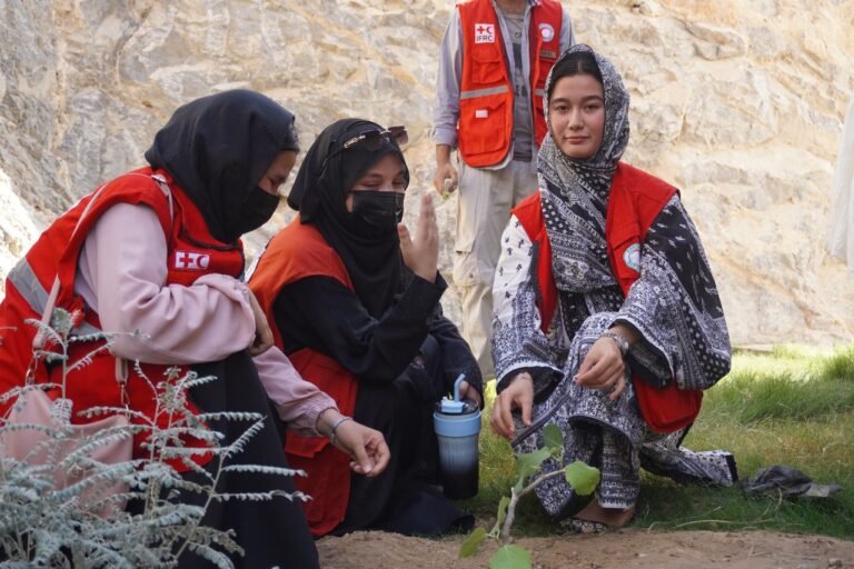 536281929_122147284490789576_4532622514965437019_n